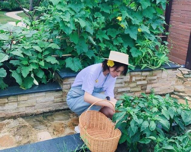 张馨予|33岁张馨予大秀恩爱，竟暴露硬汉老公甜蜜昵称，让人大跌眼镜