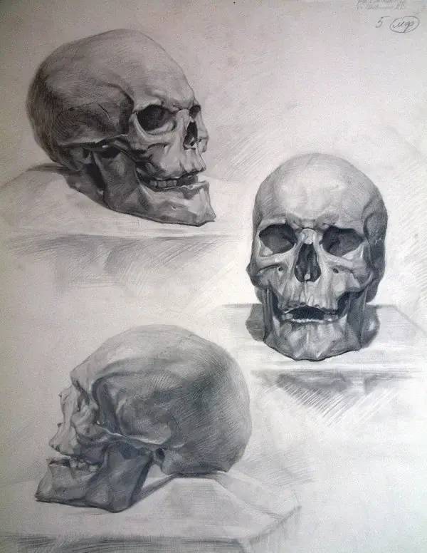 素描|超高质量的素描留校作品！