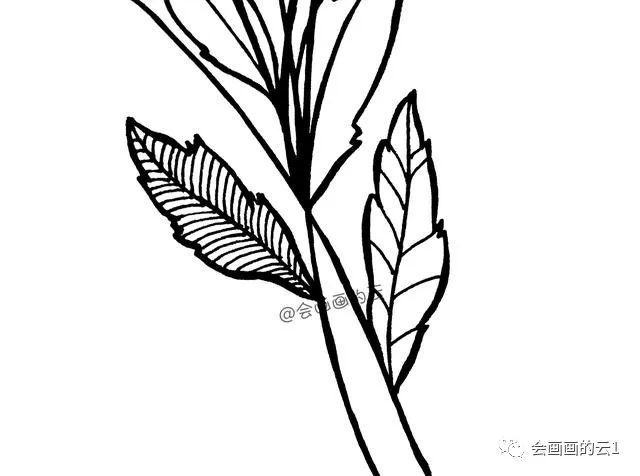 一支平时用的中性笔,教你如何画简笔画花朵,超级简单_腾讯新闻