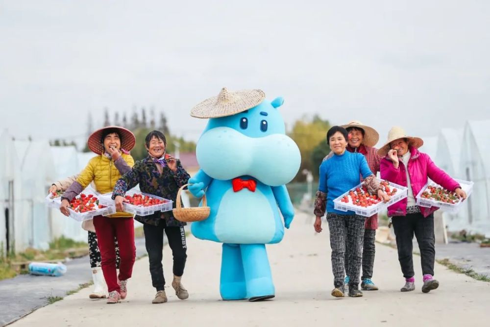 盒马产地仓落户山东机构沽空飞鹤奶粉蘑菇街暴涨1048