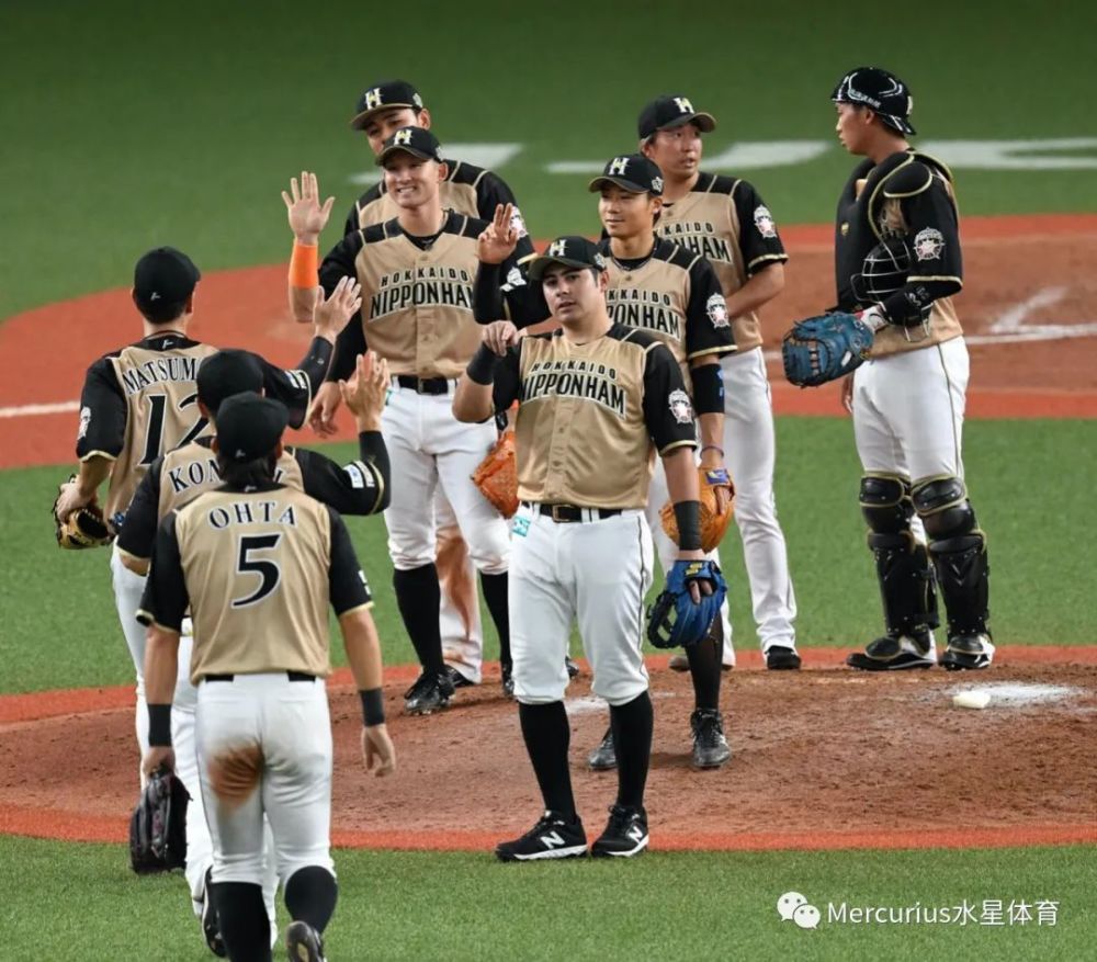 北海道日本火腿斗士10-4欧力士野牛