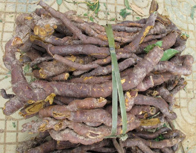 据了解,酸杆儿,除了可以用来当做野菜食用外,它的草本晒干后还可作为