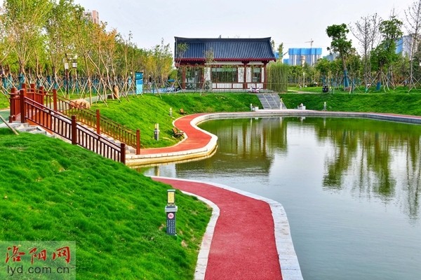 推窗见绿,开门见园 今年洛阳新建成44处小游园