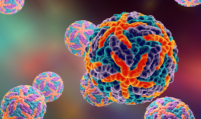 美国佛罗里达州|登革热病毒肆虐美国佛罗里达州，已出现11例感染病例