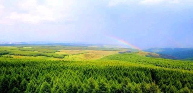 大象|非洲350头大象集体死亡，死前诡异绕圈行走，死因或是未知病毒