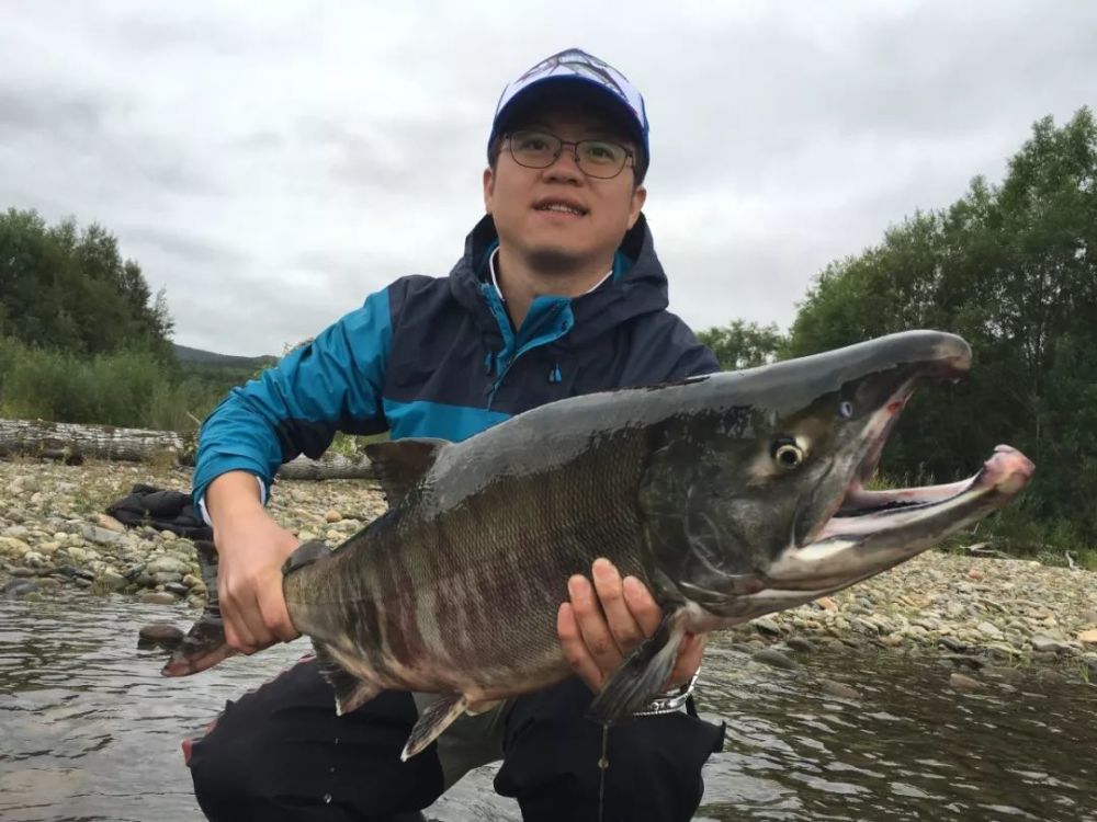 这个21世纪唯一值得探险的地方新鲜帝王蟹无限吃赶快了解一下