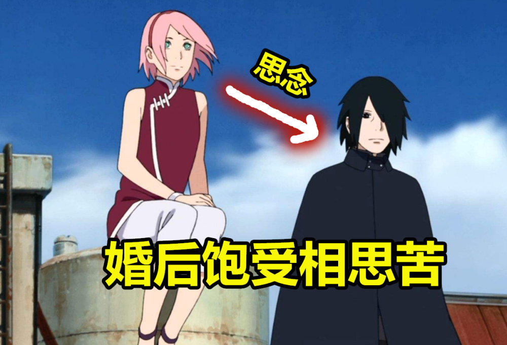 十二小强婚后谁最不容易?小樱饱受相思苦,他最惨每天都被心转身