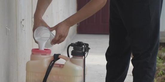 除草剂|除草剂和尿素混用，会有什么效果？看完你就有答案了