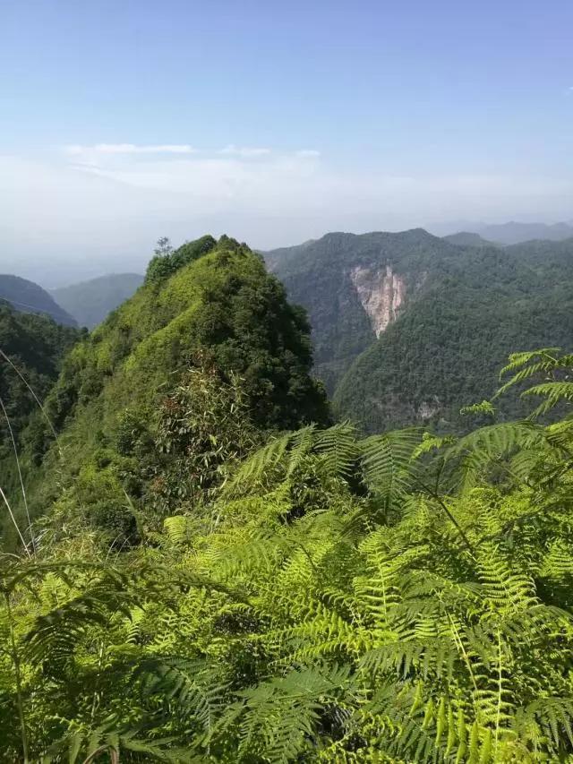 西北有座靈鷲山,山上有座靈鷲寺,乃蘆山八景之首