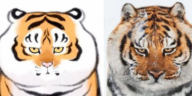 把老虎画成"肉球",瞬间就变成"大橘猫",引来42万粉丝围观
