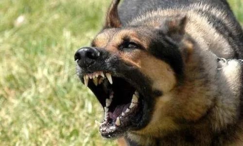 传染病|河北发布6月传染病疫情通告！近期当心这些病