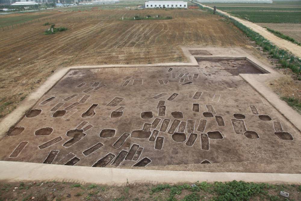 地震|如果地球上发生10级地震会怎样？地球会散架吗？