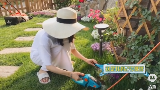 苗苗|郑恺老婆苗苗戴草帽穿拖鞋割草，自称花园少女，身姿灵活毫无孕相