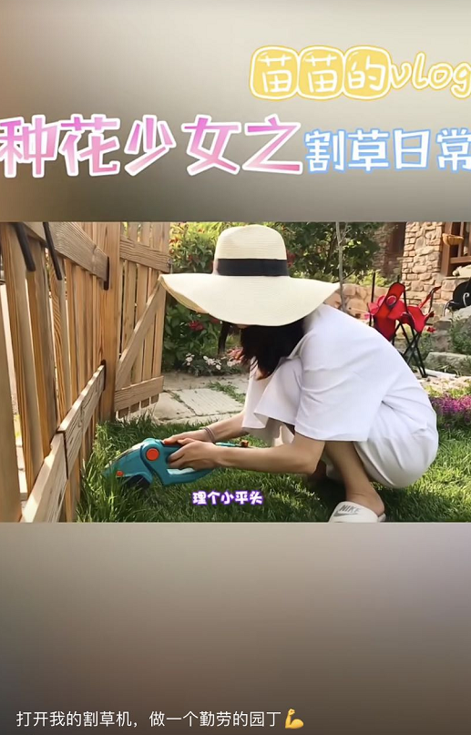 苗苗|郑恺老婆苗苗戴草帽穿拖鞋割草，自称花园少女，身姿灵活毫无孕相