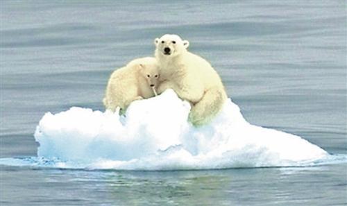 新冠病毒|传来坏消息，新冠病毒之外，上亿人或会因此遭受大难