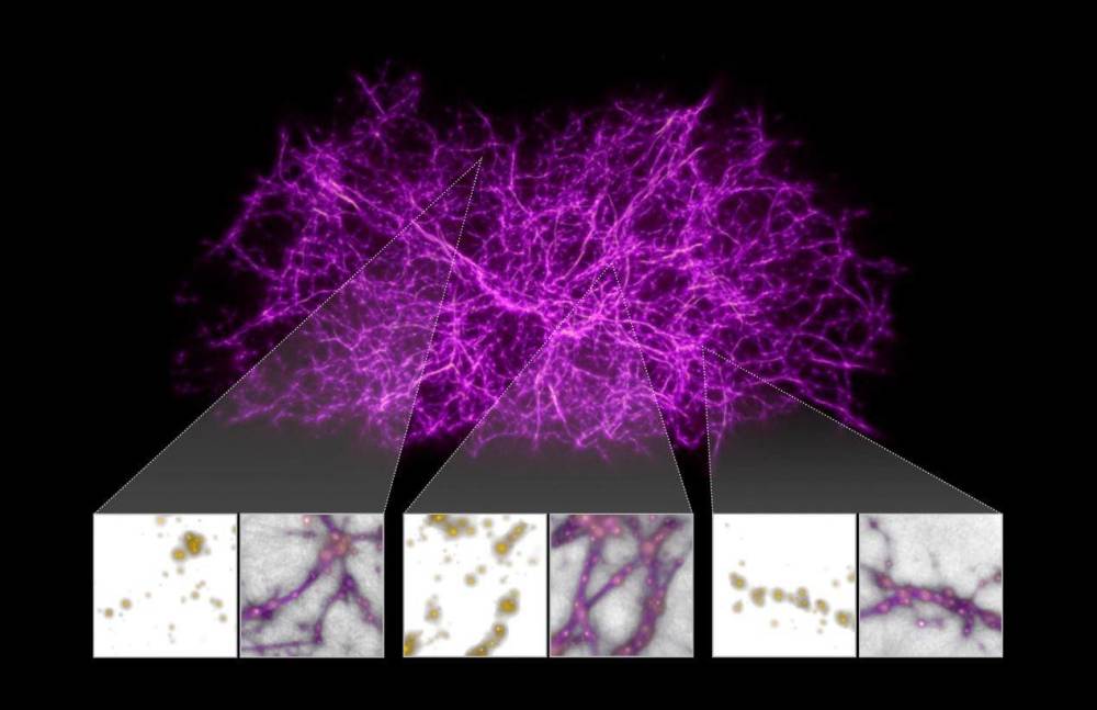 暗物质|宇宙如何凝聚在一起，暗物质图谱揭示背后奥秘