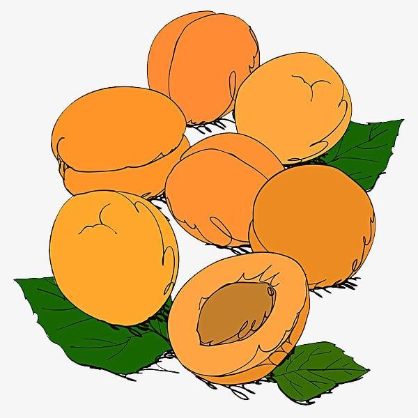 就是它最后要了安陵容的命记住了你可千万不能多吃