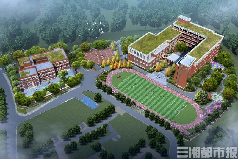 长沙市重点小学排名_速看!2020年长沙最新小学学区划分出炉