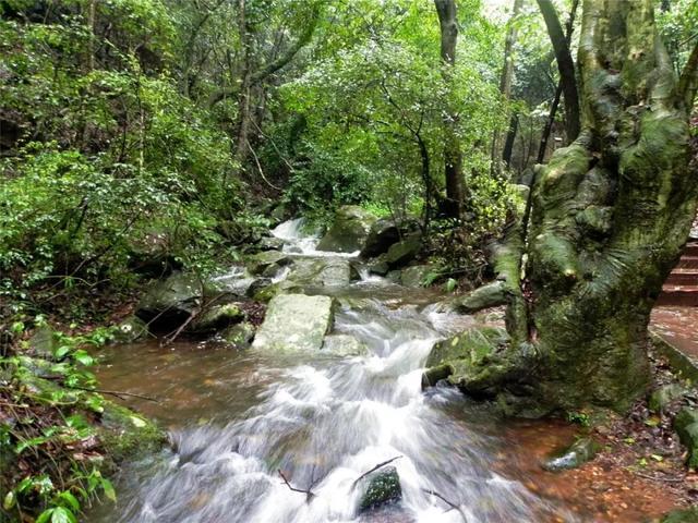 高考結束暑期來襲昆明青龍峽放價憑準考證免費入園