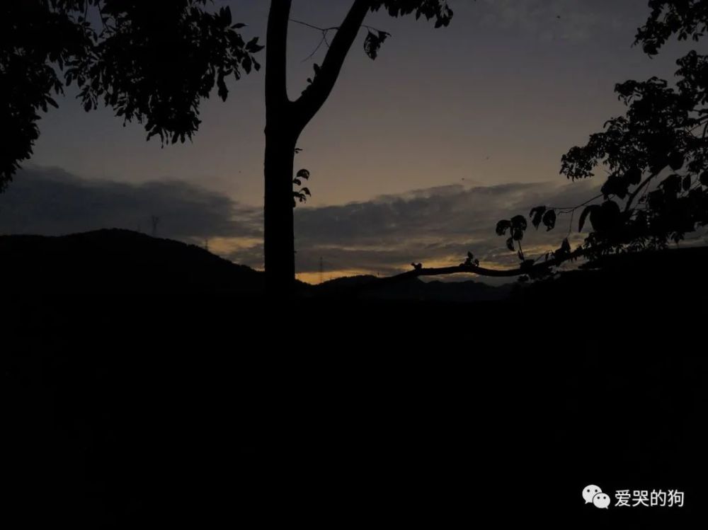 辛弃疾|辛弃疾夜里出门散步，信手拈来写下一首词，每一句都美得令人惊艳