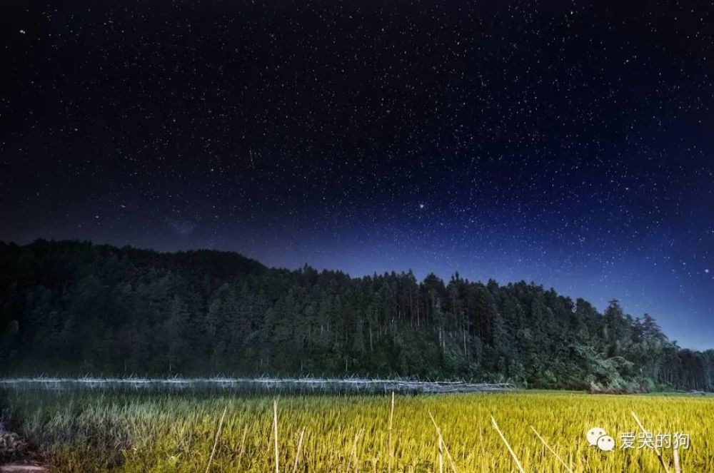 辛弃疾|辛弃疾夜里出门散步，信手拈来写下一首词，每一句都美得令人惊艳