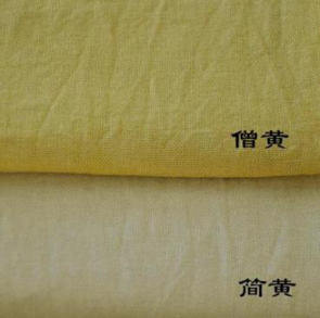 美人蕉|毕业季，花开时节散青春