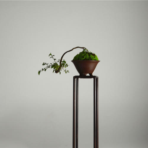 一方花几 见一室风雅 新中式 红木 陈设 盆景 花卉 花几