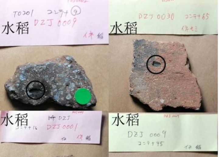 考古学|定远舰遗物出水、秦汉排水系统露面，2019年山东考古硕果累累