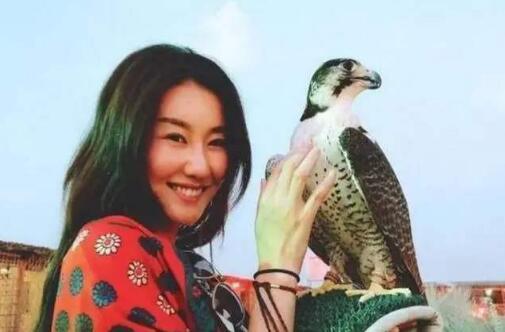 马蓉|“五十步笑百步”马蓉时刻关注王宝强，透露王宝强疑似被逼婚？