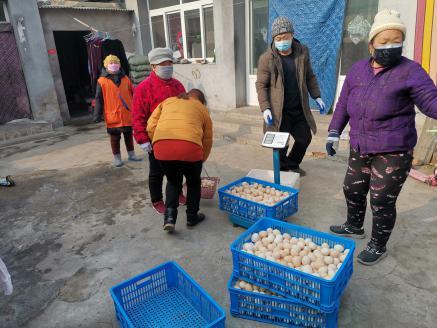 鸡蛋|鸡蛋市场价格持续走低 这个村的蛋价凭啥居高不下？