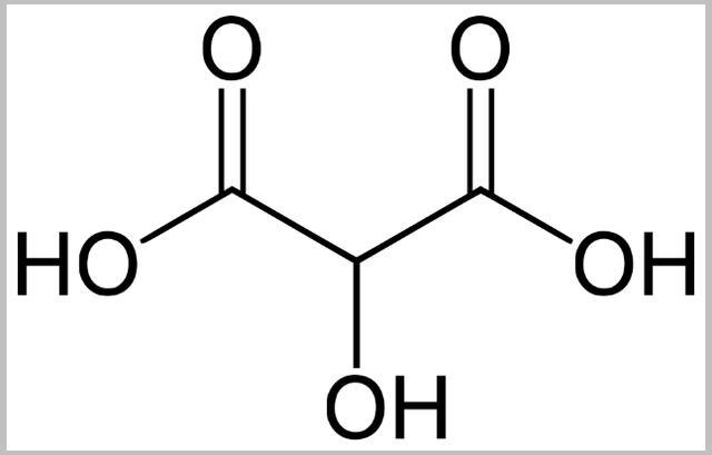 黄瓜|“小小黄瓜是个宝，减肥美容少不了”，黄瓜有那么神奇吗？