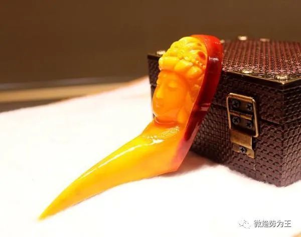 文玩界的"鹤顶红"-盔犀鸟头骨,请不要伤害它!