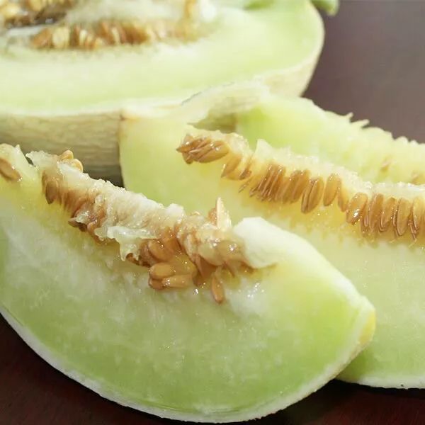 我与"甘味"的故事|民勤蜜瓜为何香飘全国?_腾讯新闻