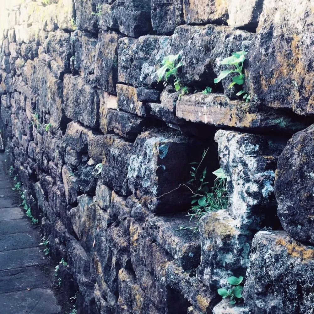 石头村|腾冲清水：那个石头筑就的村庄