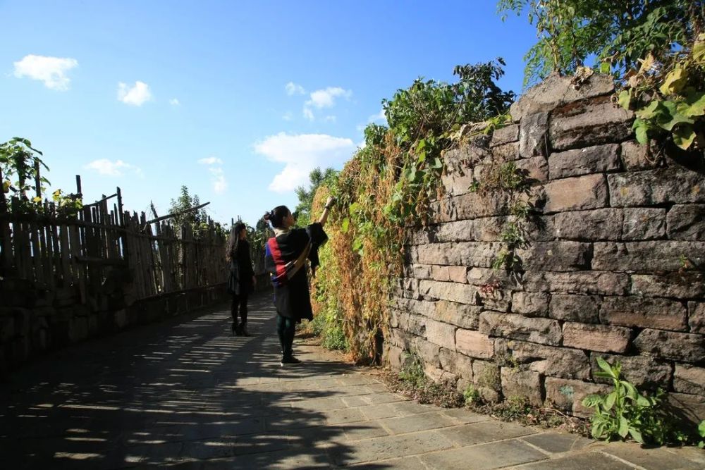 石头村|腾冲清水：那个石头筑就的村庄