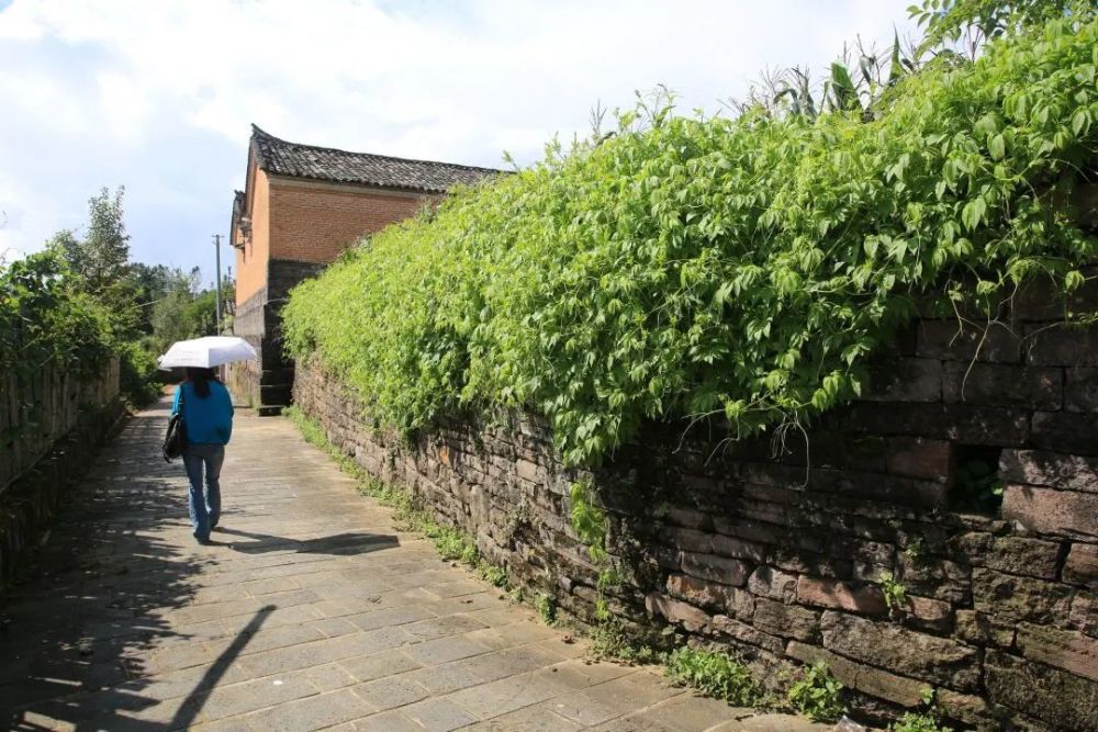 石头村|腾冲清水：那个石头筑就的村庄