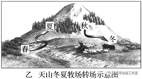材料二 天山自然带示意图(图甲)和天山冬夏牧场转场示意图(图乙).