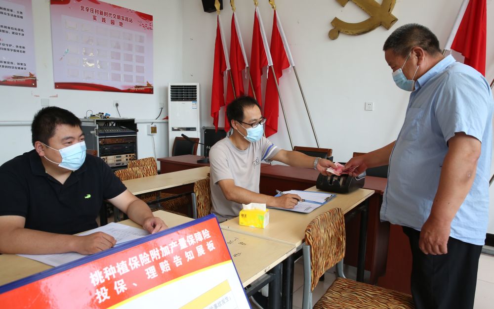 大桃|京郊大桃有了产量险 遇灾害每亩最高可获赔4200元