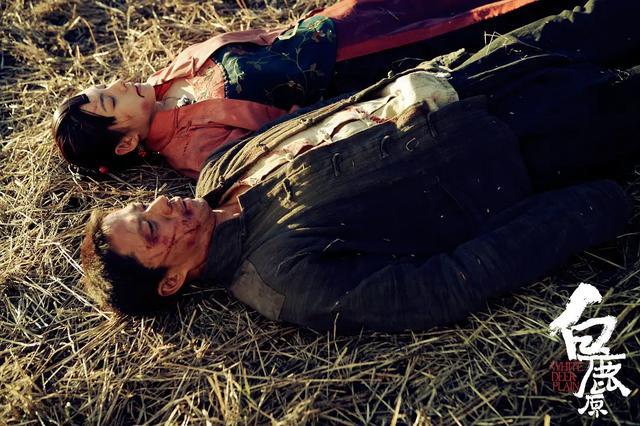 其中,原生态的秦腔演绎与苍茫的麦田取景吸引了无数人的注意,这部电影