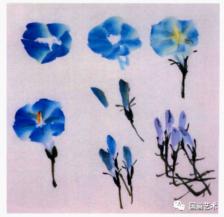 图文教程 写意紫藤 牵牛花画法 写意 画法 曙红