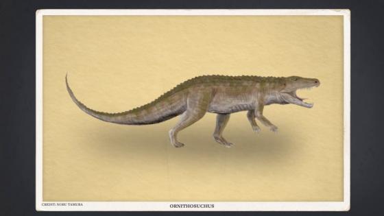 地球|2.3亿年前地球变“桑拿房”，暴雨下了200万年，形成原因正在出现