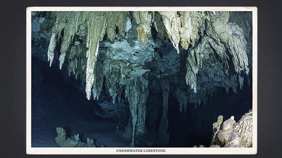 地球|2.3亿年前地球变“桑拿房”，暴雨下了200万年，形成原因正在出现