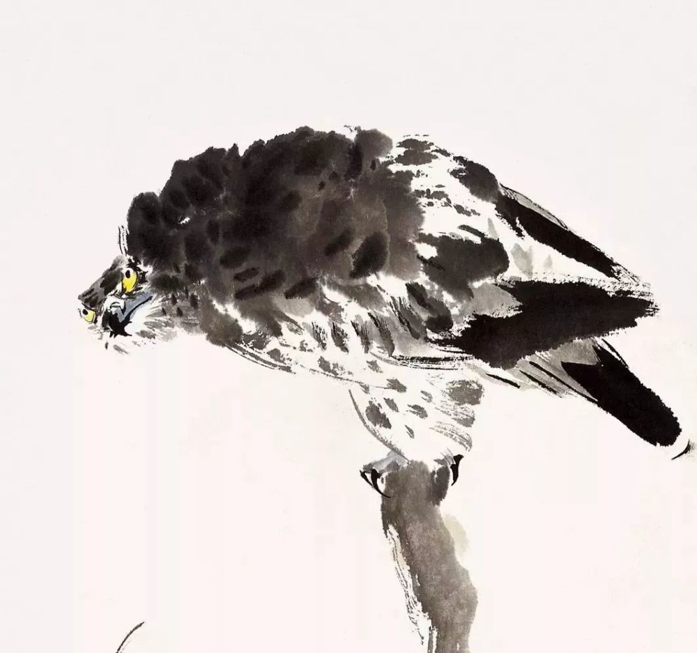 国画|灵气逼人的国画小鸟，美到窒息