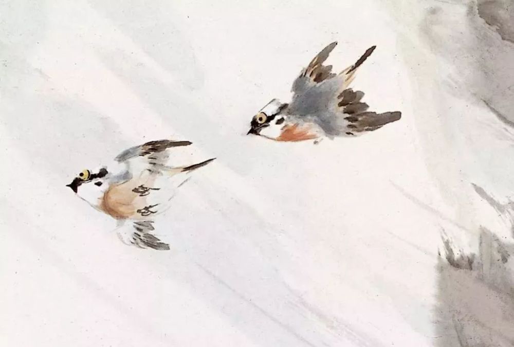 国画|灵气逼人的国画小鸟，美到窒息