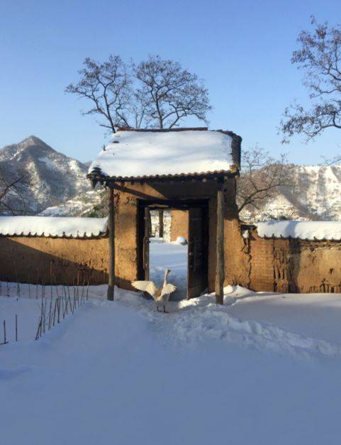 终南山隐居者二冬我的诗意栖居只是个案不具备可复制性