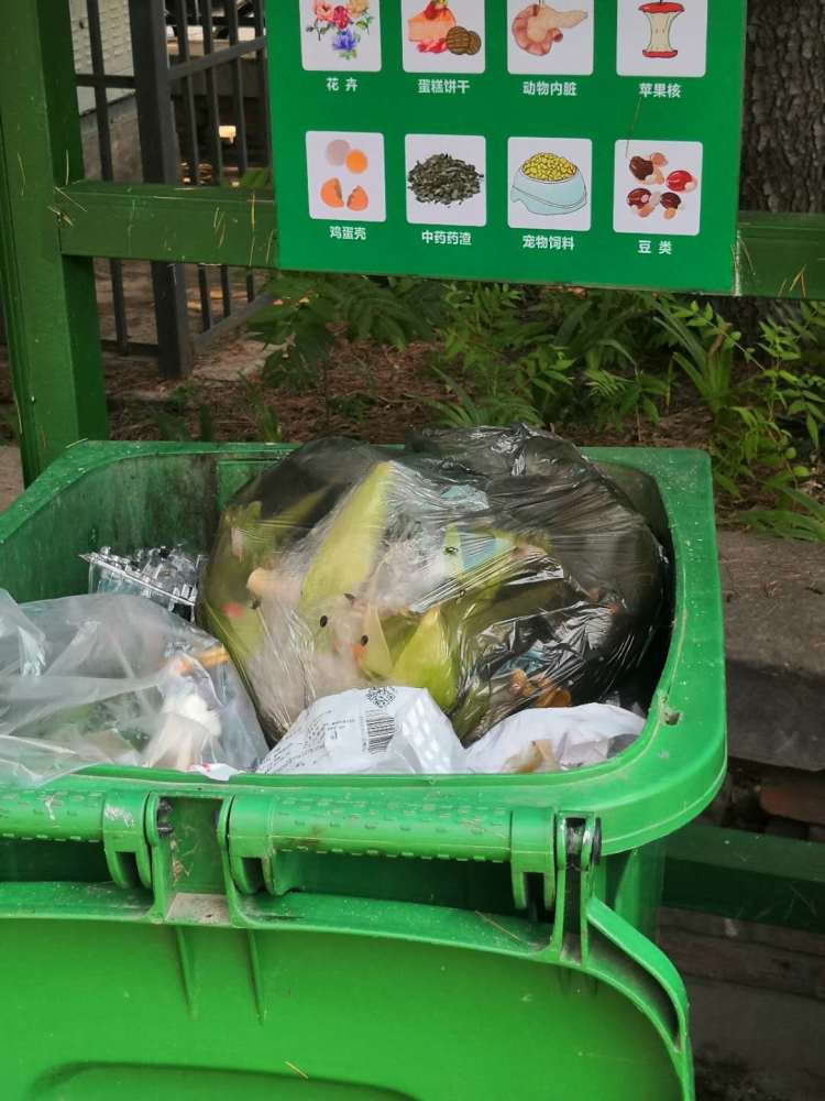 垃圾桶|天热垃圾桶有味儿怎么办？看这些小区想方设法消除脏乱臭