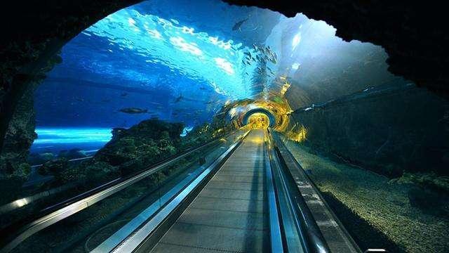 烟大海底隧道图片