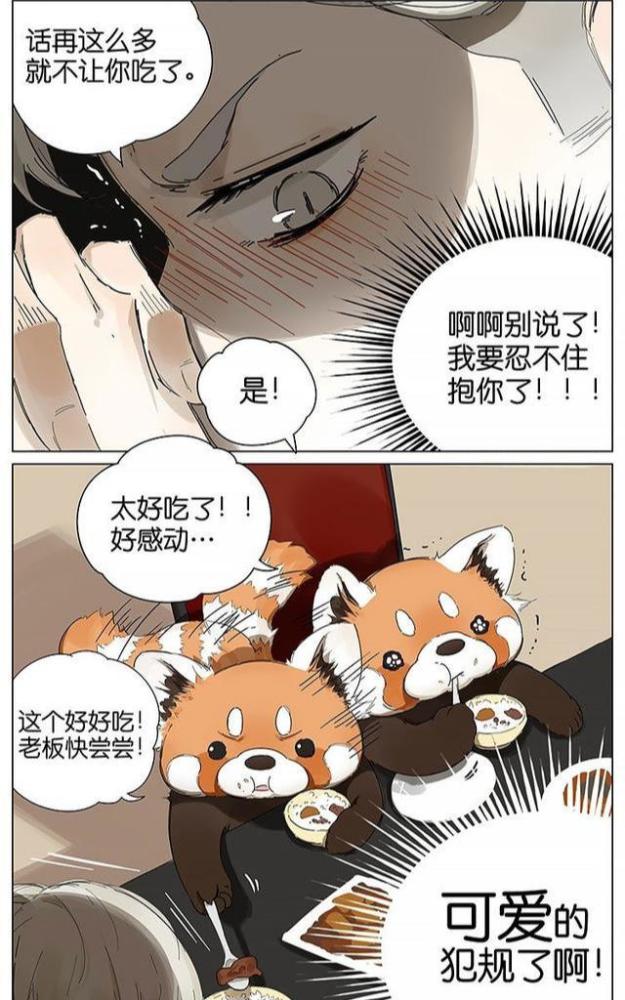 治愈萌系漫画 小熊猫算数发现手指不够了 偷偷的数老板的手指 腾讯新闻