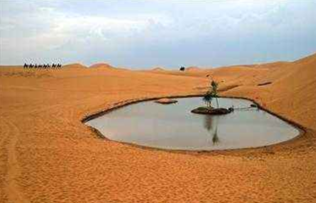 在沙漠中凭空变出水?德国发明的这款神器,一天能取水40升左右