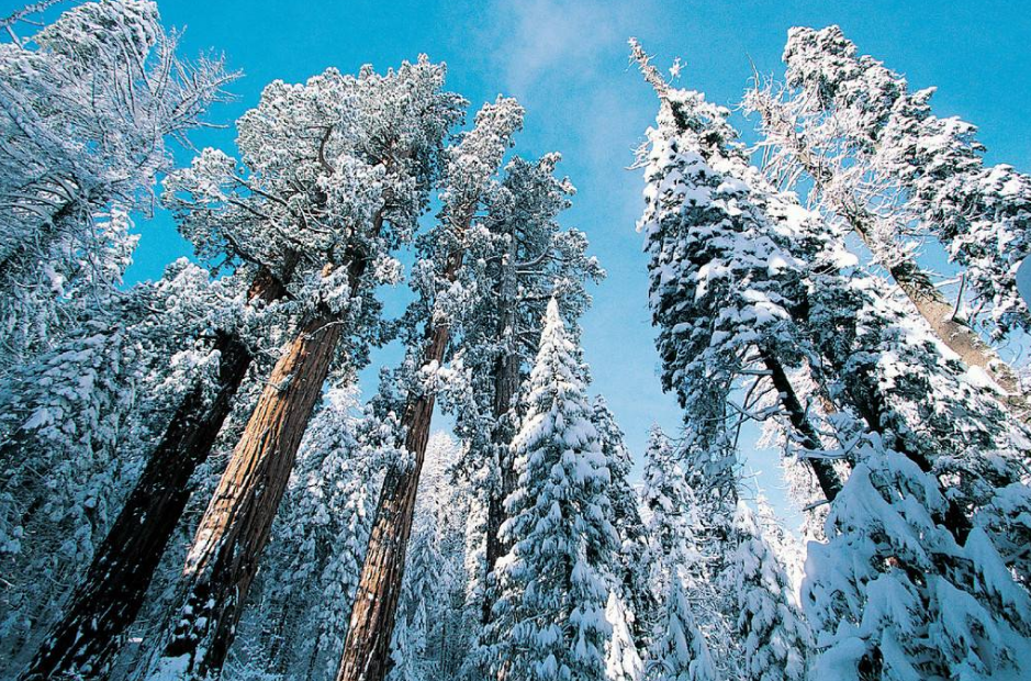 咏雪|老和尚穿得破被人看不起，当众写首咏雪诗，无一雪字却句句不离雪